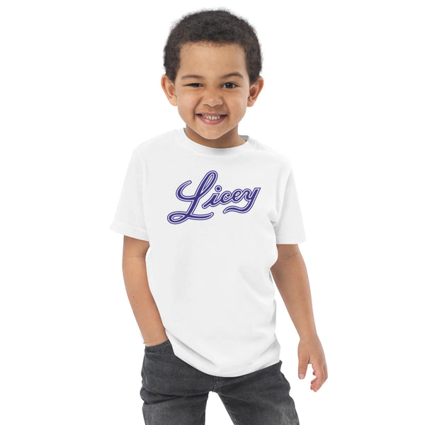 Camiseta personalizada de Basaball Dominicano, para niños y adultos. Licey, Escogido, Aguilas, Gigantes, Toros y Estrellas