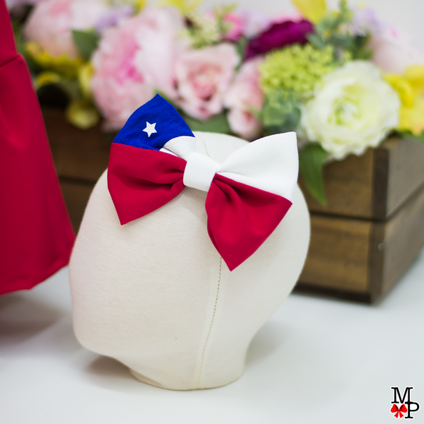 Conjunto típico de Chile,  Chilena, Leotardo, falda de vuelos y accesorio para el pelo combinado